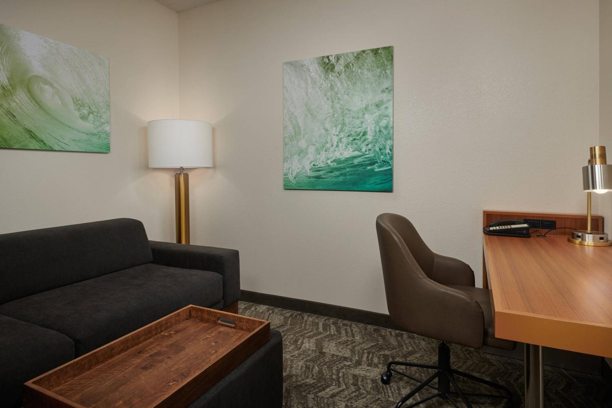 Springhill Suites By Marriott Baton Rouge North / Airport Bagian luar foto